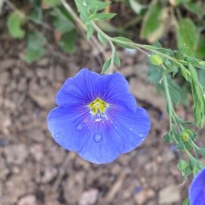 Meet your Posher, Jami